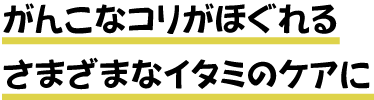 がんこなコリがほぐれるさまざまなイタミのケアに