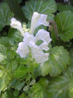 100516_1316~01.jpg