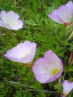 100527_1432~01.jpg