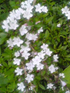 100527_1432~02.jpg