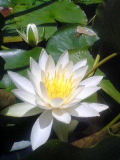 100609_1220~01.jpg