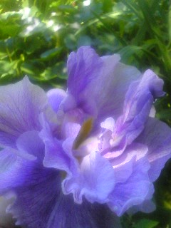 100624_1228~01.jpg