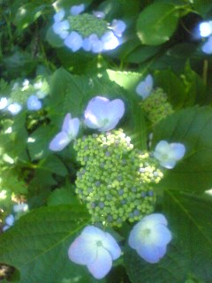 100624_1230~01.jpg