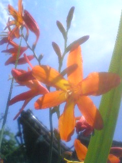 100716_1213~01.jpg