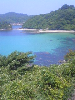 100825_1352~01.jpg
