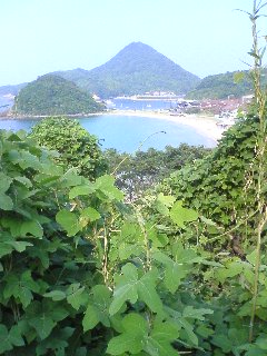 100825_1546~01.jpg