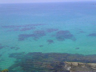 100825_1352~02_0001.jpg
