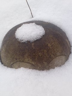 110129_1455~01.jpg