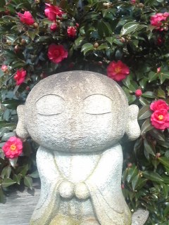 mini_110219_1143.jpg