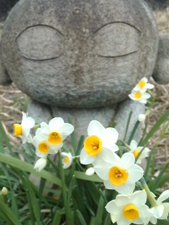 mini_110315_11570001.jpg