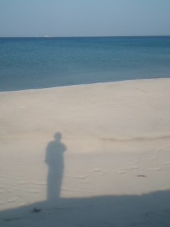 mini_110330_1641.jpg