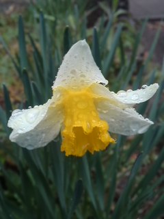 mini_110408_12480002.jpg