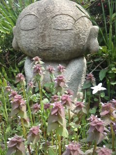 mini_110421_12180001.jpg