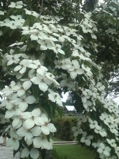 mini_110615_13010001.jpg