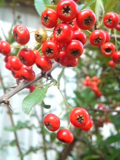 111012_1419~02.jpg