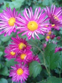111102_1326~01.jpg