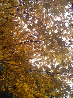 111207_1436~01.jpg