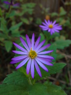 111116_1322~02.jpg