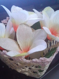 120107_2218~02.jpg