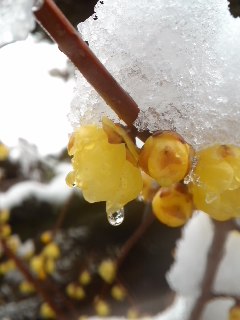 120130_1122~01.jpg