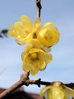 120222_1417~02.jpg