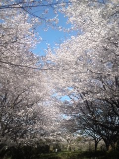 mini_120414_1522.jpg