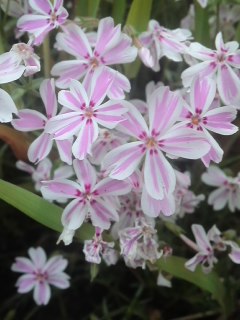 mini_120505_18030001.jpg