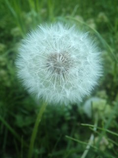 mini_120505_1801.jpg