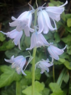 mini_120505_1716.jpg