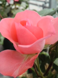 mini_120523_1005.jpg
