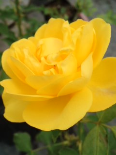 mini_120523_1003.jpg