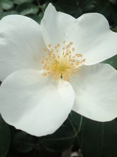 mini_120523_1006.jpg