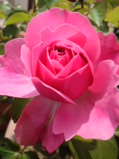 mini_120523_09570001.jpg