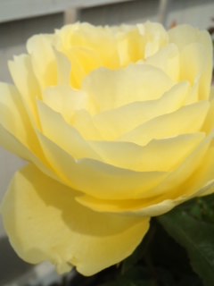 mini_120523_1011.jpg