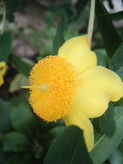mini_120711_11450002.jpg