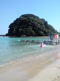 mini_120804_0855.jpg