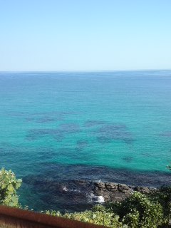 mini_120804_0801.jpg