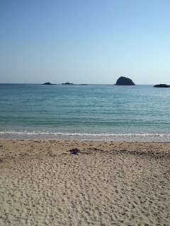 mini_120804_0817.jpg