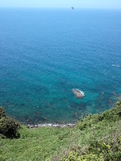 mini_120804_1226.jpg
