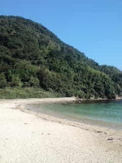 mini_120804_08180001.jpg