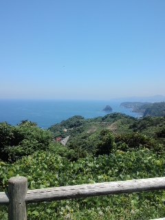 mini_120804_12320003.jpg