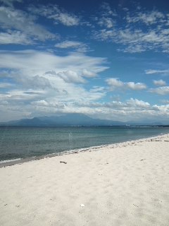 mini_120815_1420.jpg