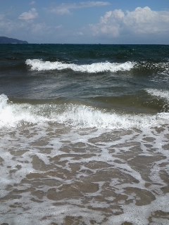 mini_120807_1203.jpg