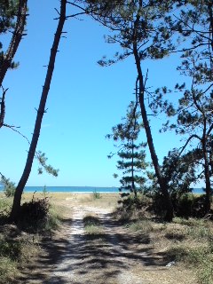 mini_120802_1226.jpg