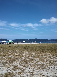 mini_120728_1211.jpg