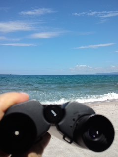 mini_120802_1257.jpg