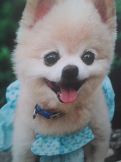 mini_120920_14320001.jpg