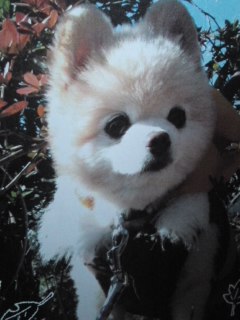 mini_121210_1514.jpg
