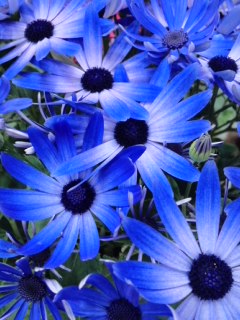 mini_130123_17450005.jpg