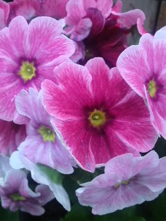 mini_130206_1656.jpg